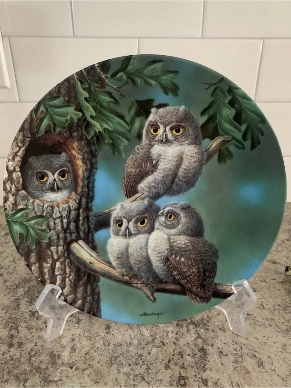 Vintage Owl Plate Lot “Peek-a-Whoo Screech Owls” “Twilight Glow”